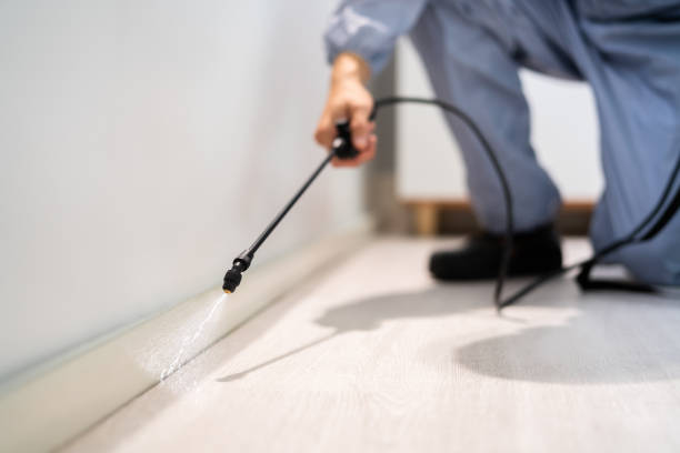 Licensed Pest Control service in Richland, PA - Show Me Pest Control