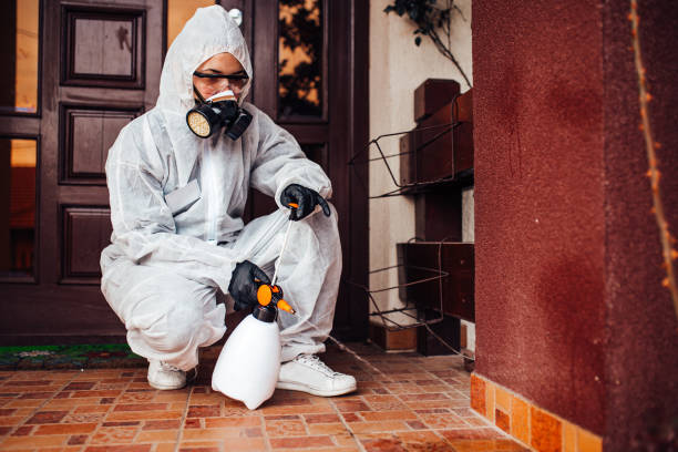 Reliable Wasp Removal contractor in Richland, PA by Show Me Pest Control
